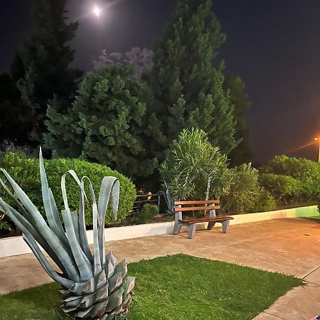 Adriatisk apartman Bečići Exteriör bild