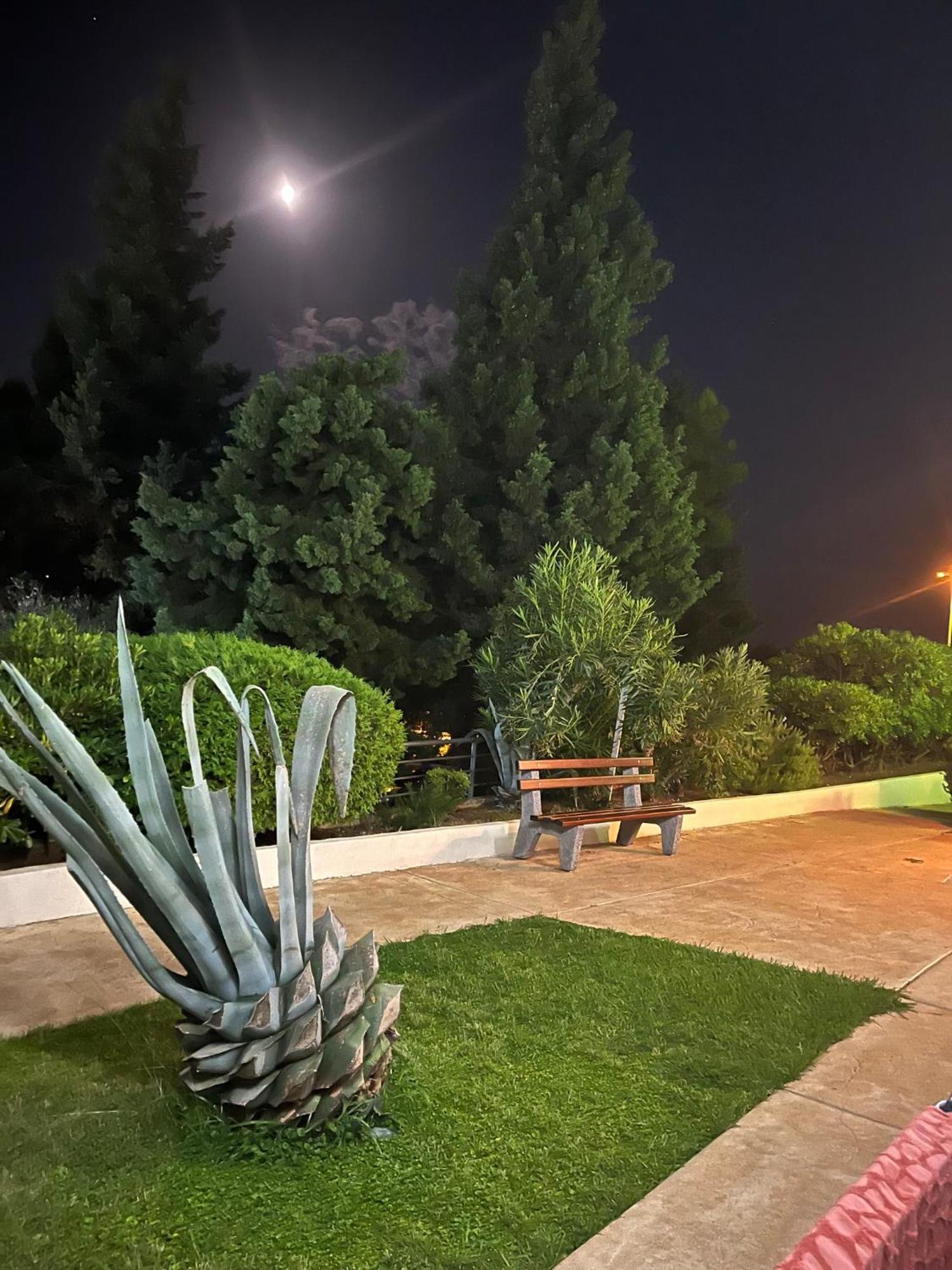 Adriatisk apartman Bečići Exteriör bild